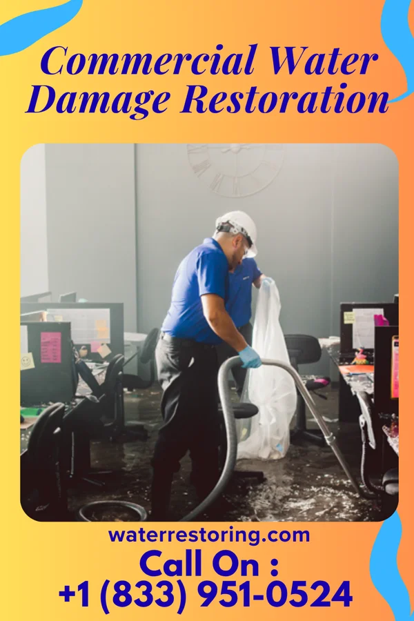 Commercial Water Damage Restoration in Country Acres, TX