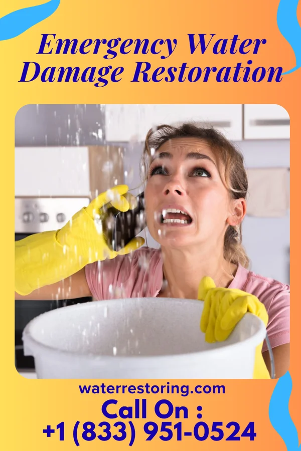 Emergency Water Damage Restoration in Country Acres, TX